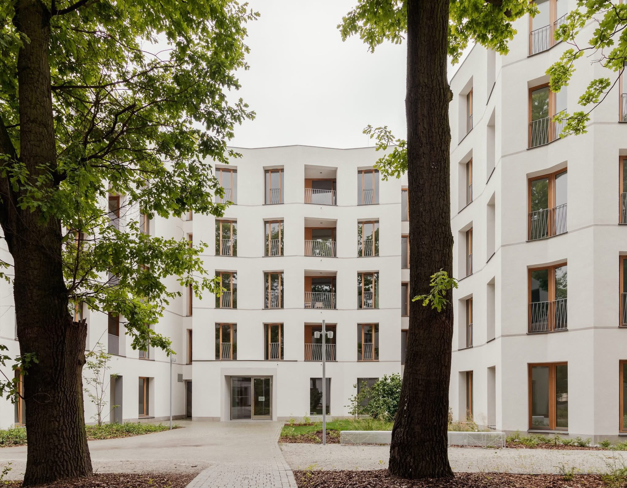 Solna 6