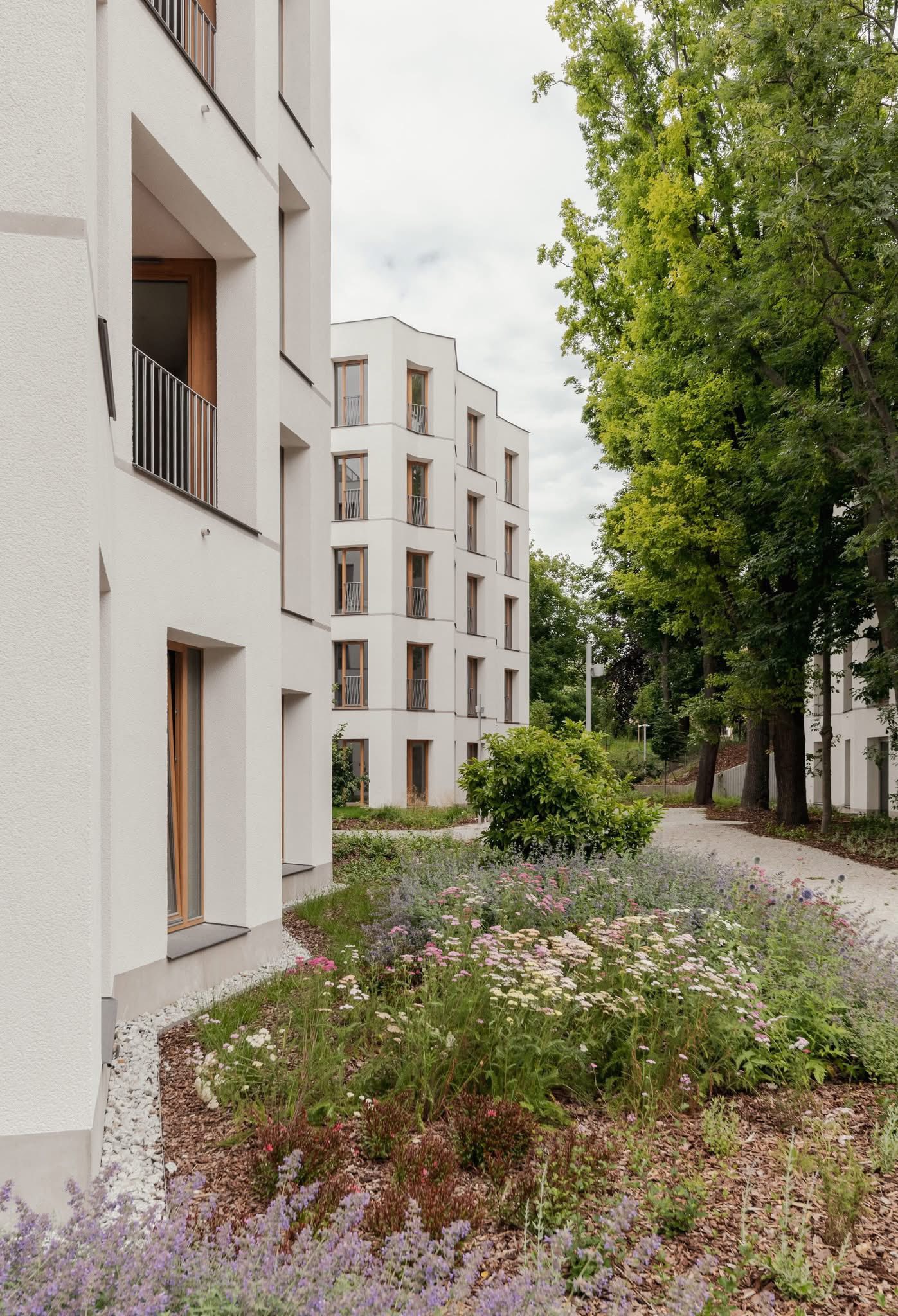 Solna 6