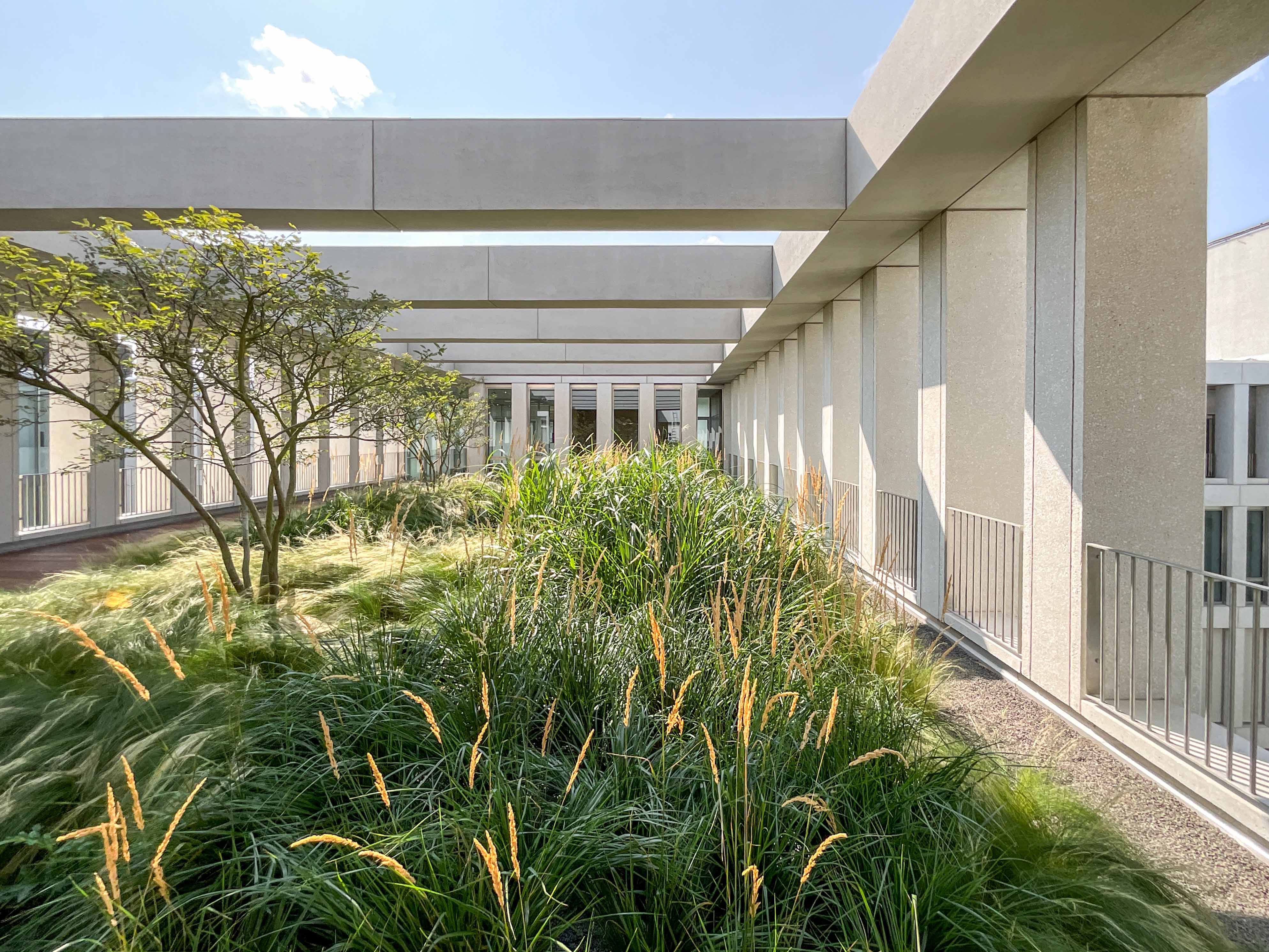 Ambasada RP w Berlinie