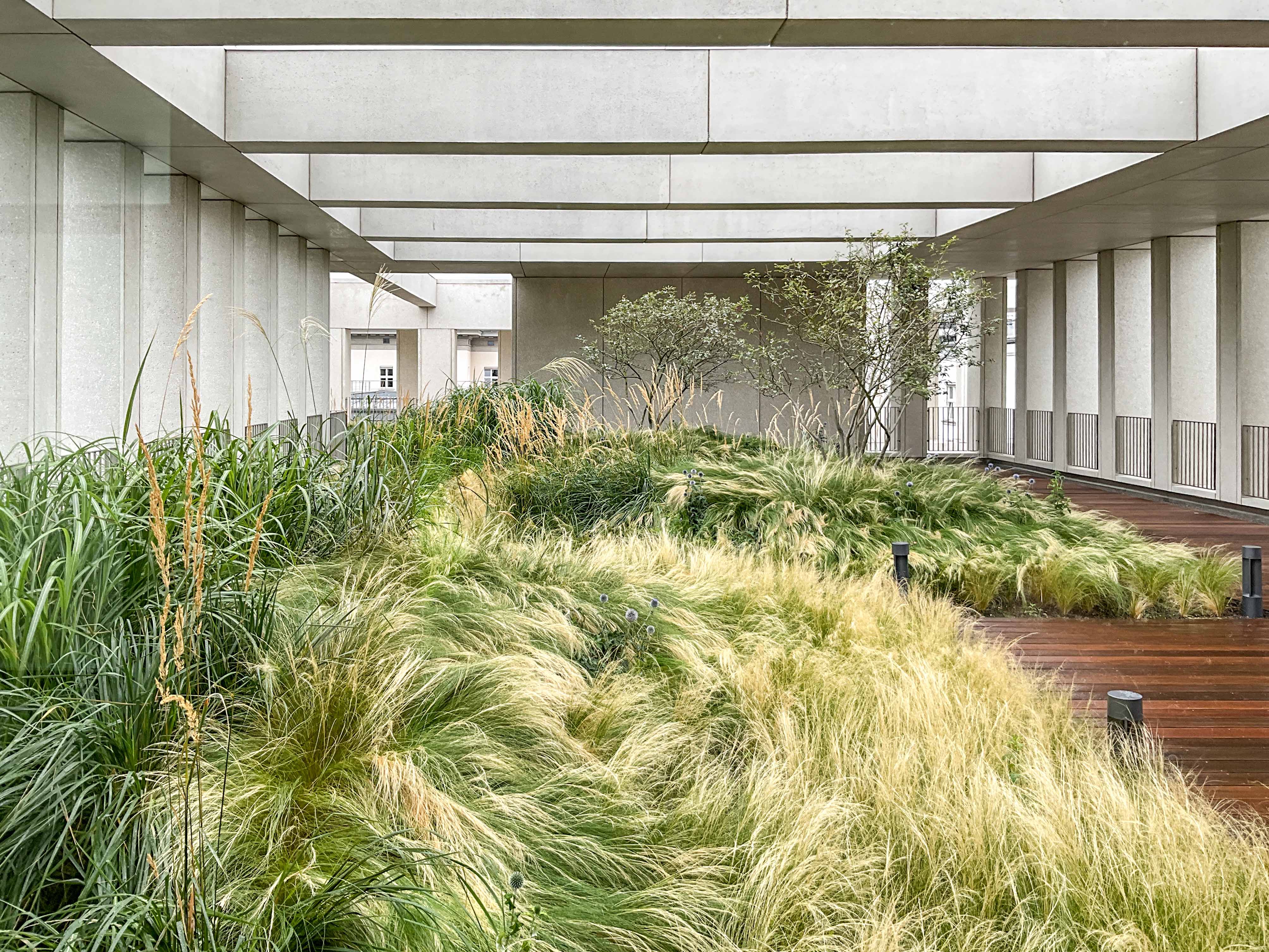 Ambasada RP w Berlinie